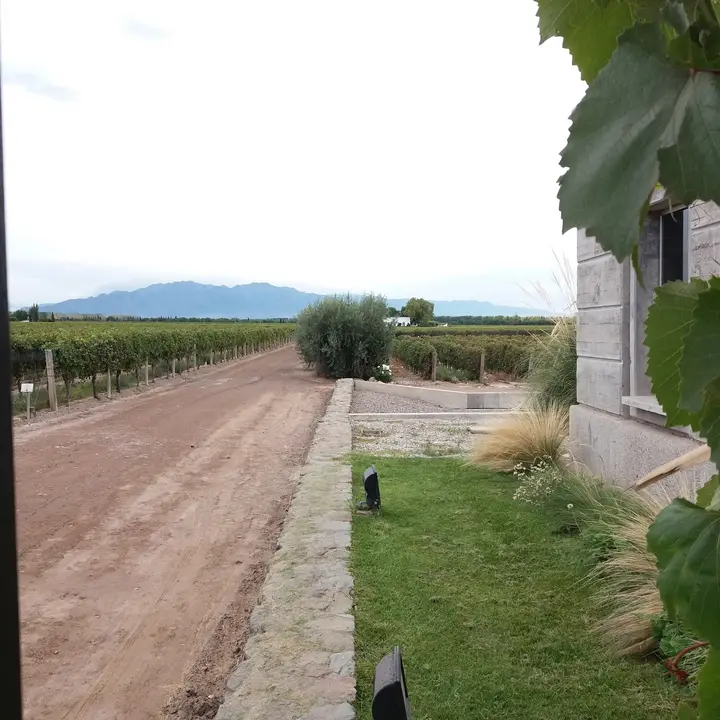 Presentation image of Pulenta Estate