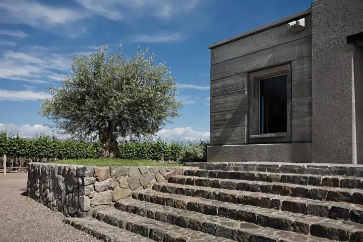 Presentation image of Pulenta Estate