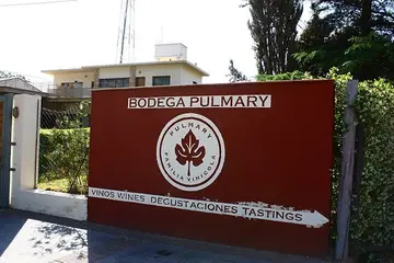 Imagen de presentación de Pulmary