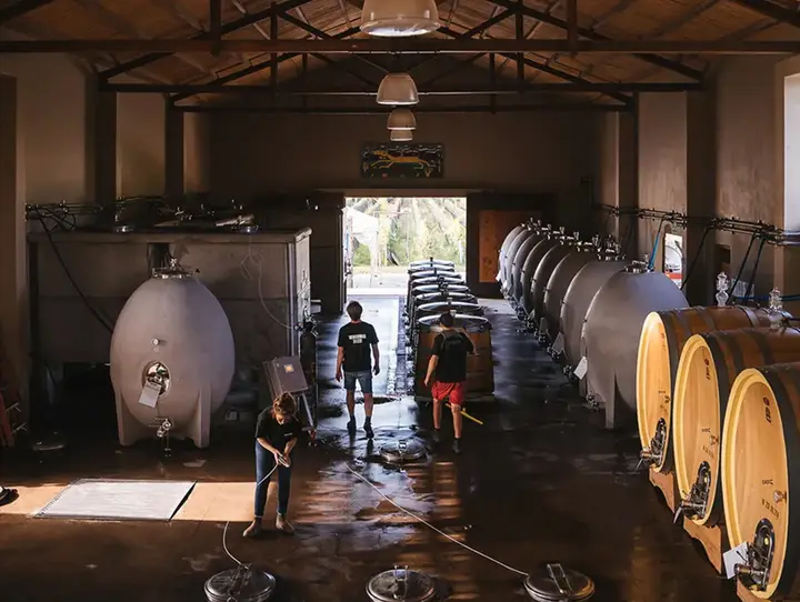 Presentation image of Riccitelli Wines