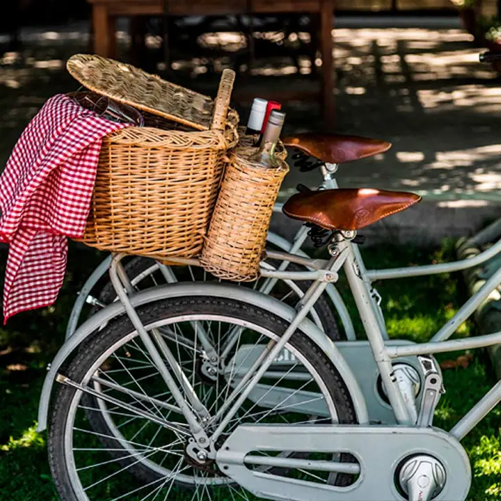 Presentation image of Santa julia picnic