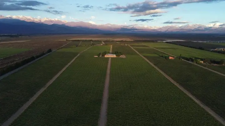 Imagen de presentación de Sophenia
