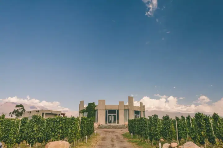 Imagen de presentación de SuperUco
