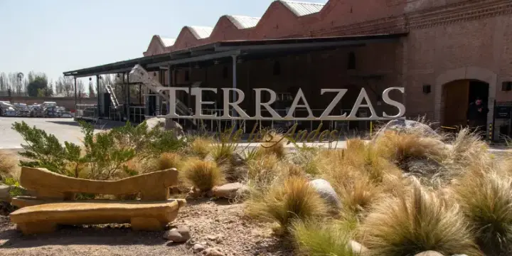 Presentation image of Terrazas de los Andes