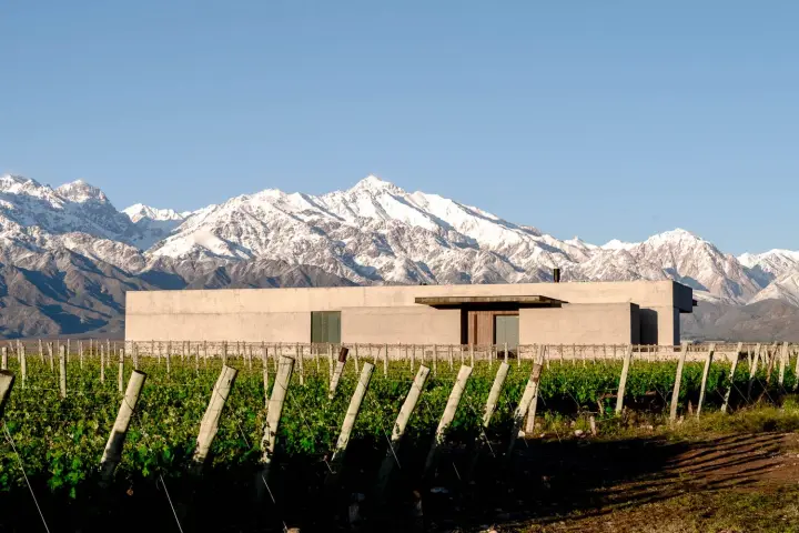 Imagem de apresentação de The Vines Resort & Spa
