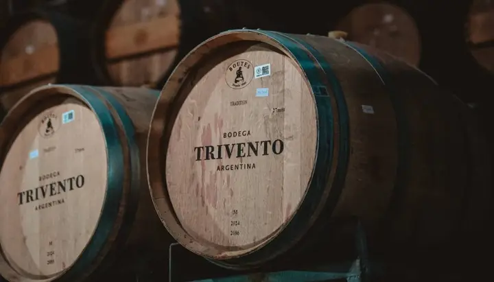 Presentation image of Trivento