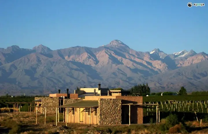 Presentation image of Tupungato Divino