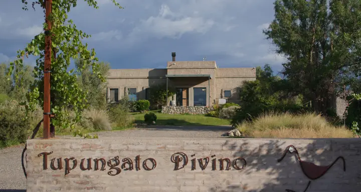 Presentation image of Tupungato Divino