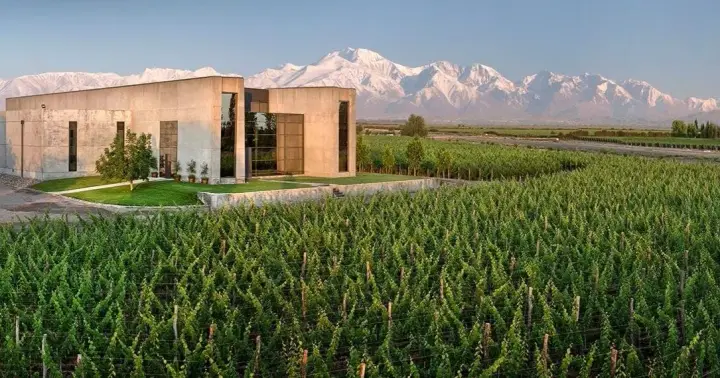 Presentation image of Viñas Cobos