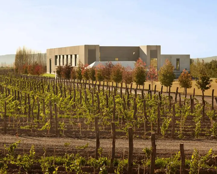 Presentation image of Viñas Cobos