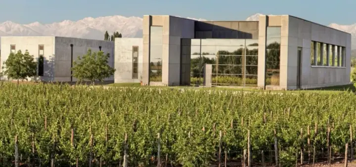 Presentation image of Viñas Cobos