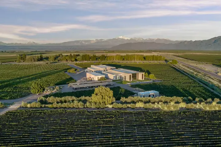 Presentation image of Viñas Cobos