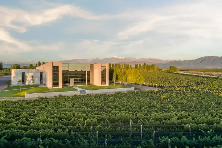 Presentation image of Viñas Cobos