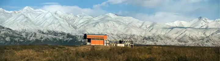 Presentation image of Zorzal
