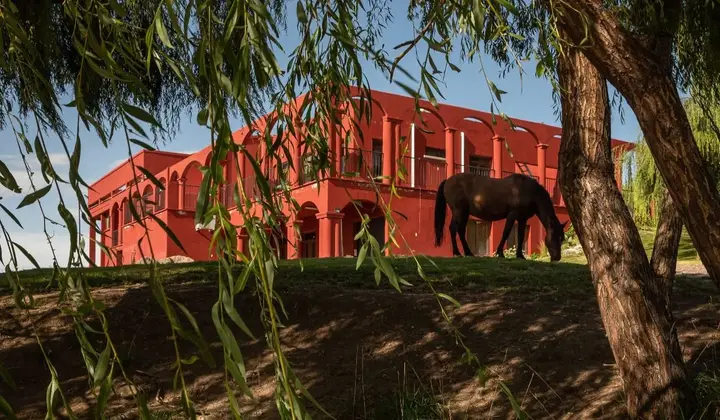 Presentation image of Zorzal